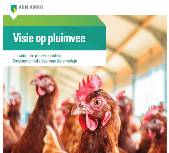Toekomst pluimveesector (ABN AMRO)